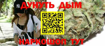 спиды Дубна