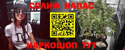 спиды Дубна