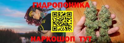 спиды Дубна