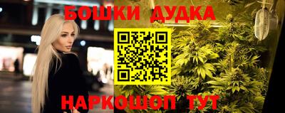 спиды Дубна