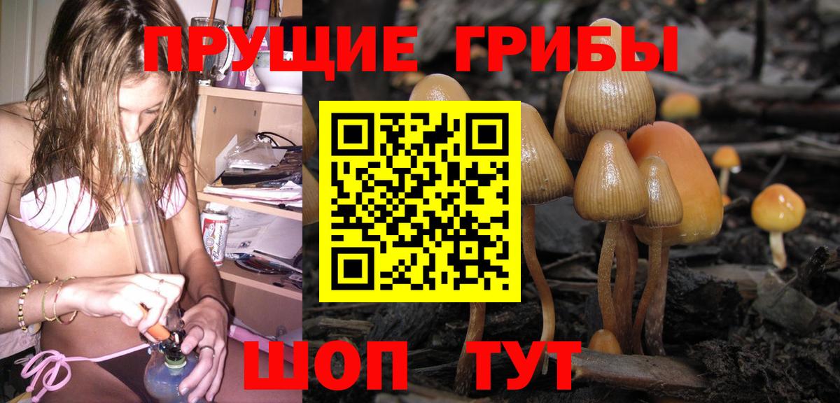 Майский  сколько стоит  Вход с VPN  Псилоцибиновые грибы Psilocybe 