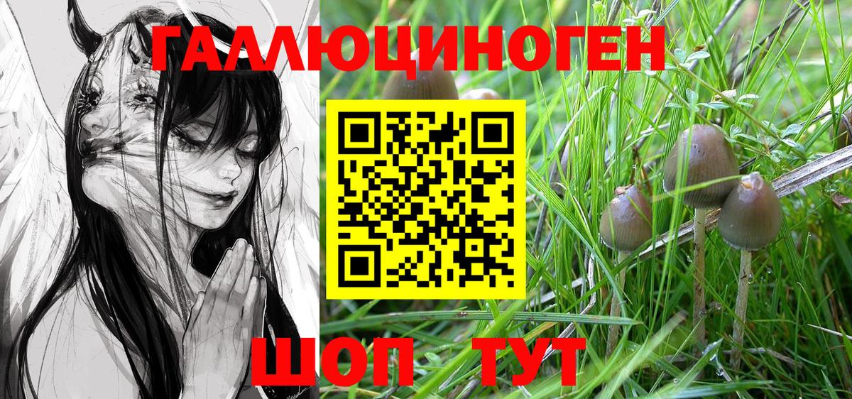 Псилоцибиновые грибы ЛСД Майский